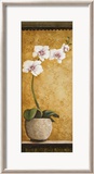 Hanna's Orchids I Póster por Susan Osborne