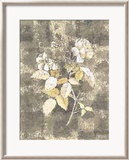 Silver Rose I Prints by Antonietta Vernice
