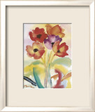 Anemones Prints by Nick Orsborn