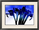 I Nearly Bought You Flowers Print by Michael Rafferty