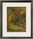 The Garden of Saint-Paul Hospital Láminas por Vincent van Gogh