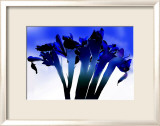 I Nearly Bought You Flowers Affiches par Michael Rafferty