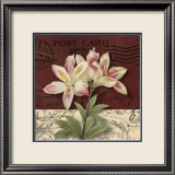 Postcard Lily Posters par Kelly Donovan