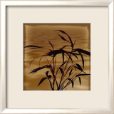 Bamboo Waves I Posters par Thomas Kalwa