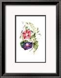 Fleurs Affiches par Louise Anne Twarmley