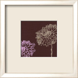 Chrysanthemum Square VIII Posters av Alice Buckingham Chrysanthemum Square VIII Posters av Alice Buckingham