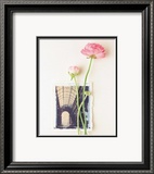 Pivoine, euro-floral Posters par Dorothy Gaubert Pyle