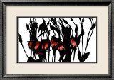 Lysianthus Ravindus Prints by Michael Rafferty