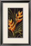 Heliconia Pósters por Yvette St. Amant