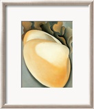 Tan Clam Shell Posters by Georgia O'Keeffe