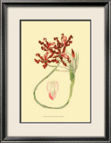 Le Fleur Rouge II Posters by Sydenham Teast Edwards