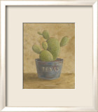 Texas Cactus Affiches par Mar Alonso