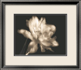 Double Dappled II Posters av Charles Britt