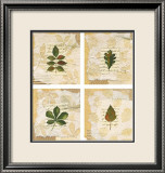 Nature's Gift I Prints by Antonietta Vernice