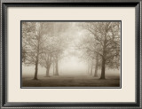 Layers of Trees II Kunst af Igor Svibilsky Layers of Trees II Kunst af Igor Svibilsky