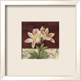 Postcard Lily Art par Kelly Donovan