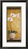 Hanna's Orchids I Affiches par Susan Osborne