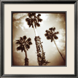 Tropical Beauty Print by Tom Kirkendall