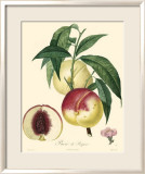 Peaches Print by Bessa 