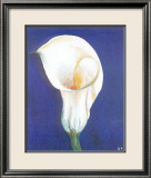 Iris I Posters by D. Ferrer