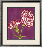 Purple and White Carnations Prints by Elise Ferguson