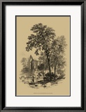 The Ash Tree Láminas