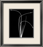 Wild Grasses II Posters by K. Kennedy