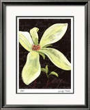 Magnolia Limited Edition Framed Print by Jm Designs 