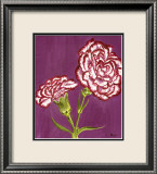 Purple and White Carnations Prints by Elise Ferguson