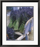 Lavender Harvest Prints by Gunter Rossenbach