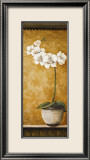 Hanna's Orchids II Affiche par Susan Osborne