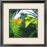 Palm Shadows II Posters par Chris Simpson