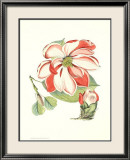 Fleurs de mélisse II Affiches par Samuel Curtis