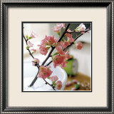 Appletree Branch Posters par Eulenburg 