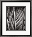 Palm Pattern Posters par Jeff Zaruba