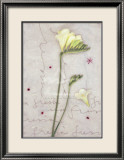 Freesias Posters par Kidney 