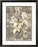 Silver Rose I Kunstdrucke von Antonietta Vernice