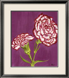 Purple and White Carnations Prints by Elise Ferguson