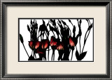 Lysianthus Ravindus Prints by Michael Rafferty