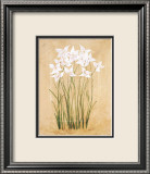 Flower IV Posters av Brigitte Beliose Flower IV Posters av Brigitte Beliose