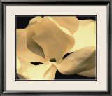 Fleur jaune Poster par Nelson Figueredo