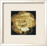 Fleur jaune Affiche par Nelson Figueredo