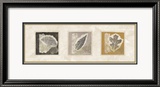 Trio de feuilles Affiches par Diane Kline