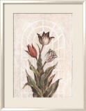 Tulip Companion I Láminas por Dexter Mcgowan Tulip Companion I Láminas por Dexter Mcgowan