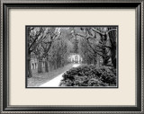 Promenade au jardin Poster par Laura Denardo