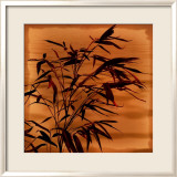 Bamboo Waves II Affiche par Thomas Kalwa