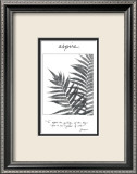 Aspire Art by Deborah Van Swearingen