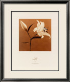 Lys Affiches par Jan Gordon
