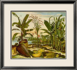 Tropical Fruits II Plakater av Barlow