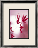 Arrangement of the Leaves I Affiches par Gerd Weissing